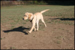 IMG_2677.jpg