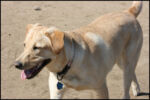 IMG_7966.jpg