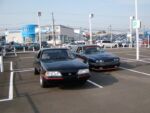 PB020007.jpg