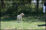 IMG_4427.jpg