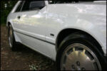 1986-mustang-svo-img_8558.jpg