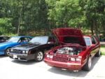 Fox-a-Que2010012.jpg