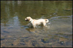 IMG_5173.jpg