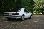 1986-mustang-svo-img_8556.jpg