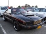 Fox-a-Que2010073.jpg