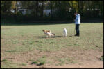 IMG_2592.jpg