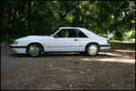 1986-mustang-svo-img_8566.jpg