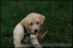 IMG_1462.jpg