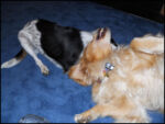 DSCN2540.jpg