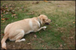 IMG_7185.jpg