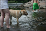 IMG_4838.jpg