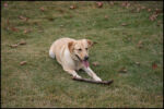 IMG_7326.jpg