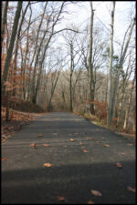 IMG_2875.jpg