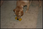 IMG_3245.jpg