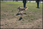 IMG_2637.jpg