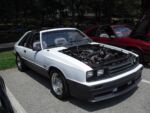 Fox-a-Que2010022.jpg