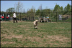 IMG_4419.jpg