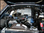PB270038.jpg