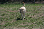 IMG_7996.jpg