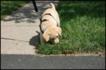 IMG_1690.jpg