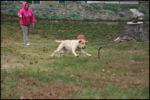 IMG_7159.jpg