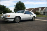 1986-mustang-svo-img_8587.jpg