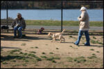 IMG_2625.jpg