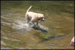 IMG_5200.jpg