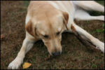 IMG_7357.jpg