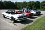 IMG_9293.jpg