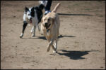 IMG_7945.jpg