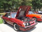 Fox-a-Que2010023.jpg