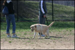 IMG_7978.jpg