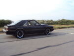 dsc00910ca.jpg