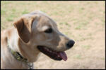 IMG_3785.jpg