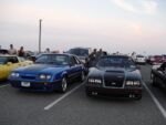 Fox-a-Que2010066.jpg