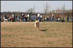 IMG_3838.jpg