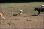 IMG_2610.jpg