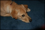 IMG_3260.jpg