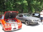 Fox-a-Que2010015.jpg