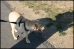 IMG_2835.jpg