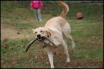 IMG_7167.jpg