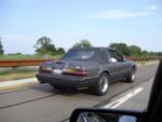 Fox-a-Que2010062.jpg