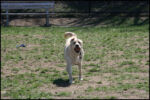 IMG_7981.jpg