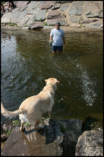 IMG_4775.jpg