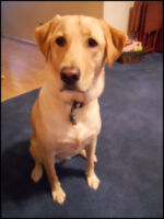 DSCN2535.jpg