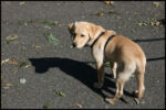 IMG_2441.jpg