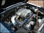 PB270040.jpg