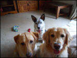 DSCN2476.jpg