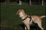 IMG_2564.jpg